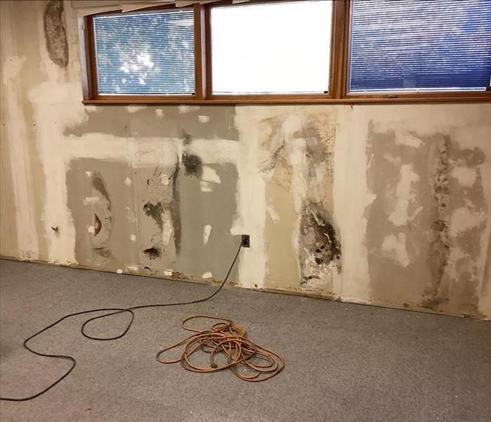 Local Fire Dept. Mold Issue