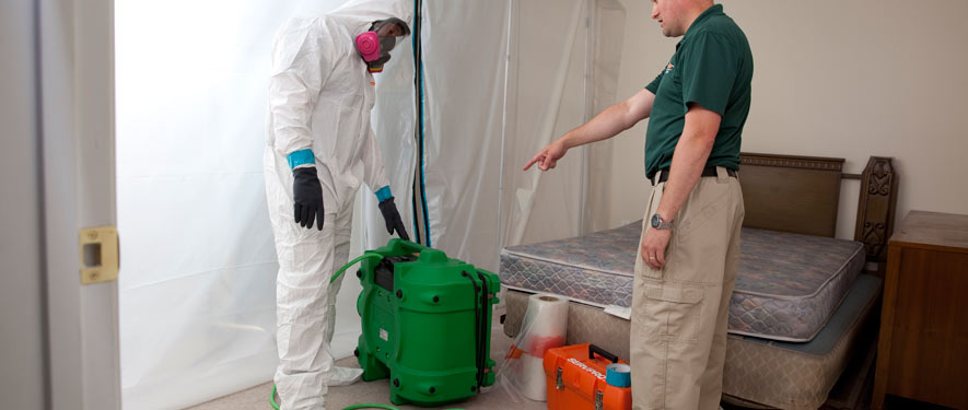 Springfield, NJ mold removal process